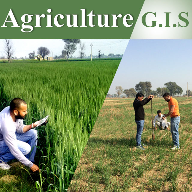 Agriculture GIS